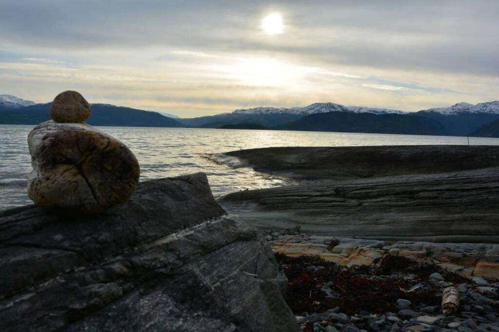 Treehut, Nature, Birds, Silence And Fjord Samlanes Exterior photo
