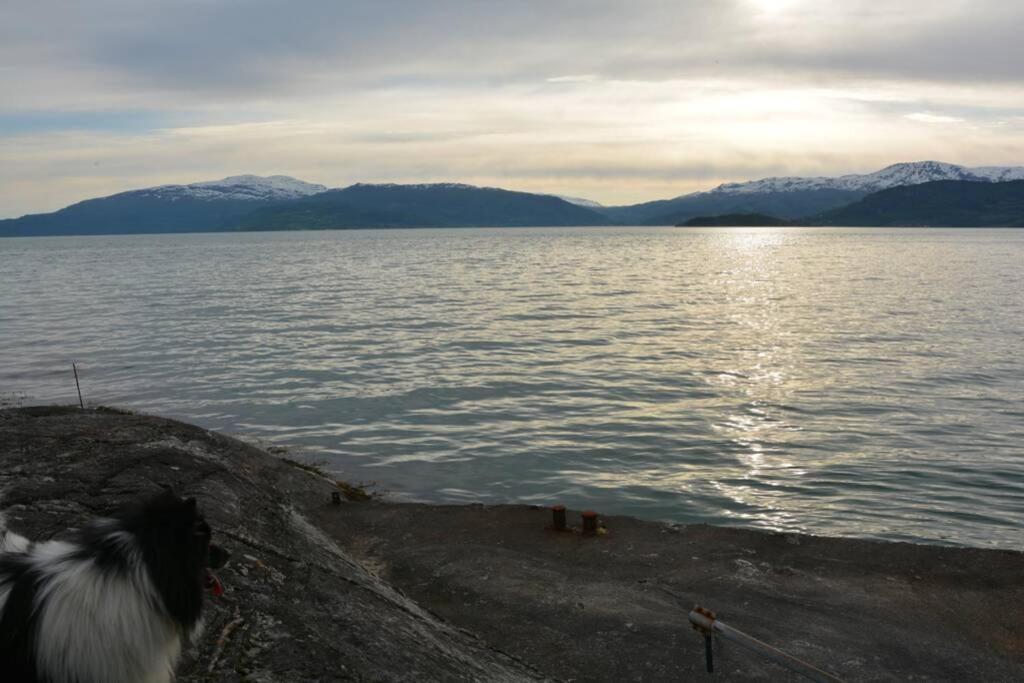 Treehut, Nature, Birds, Silence And Fjord Samlanes Exterior photo