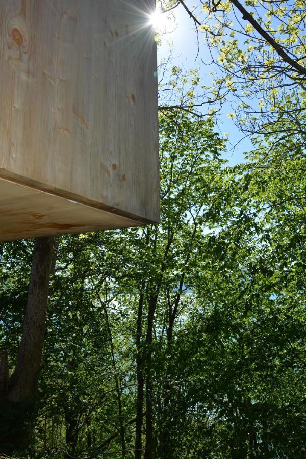 Treehut, Nature, Birds, Silence And Fjord Samlanes Exterior photo