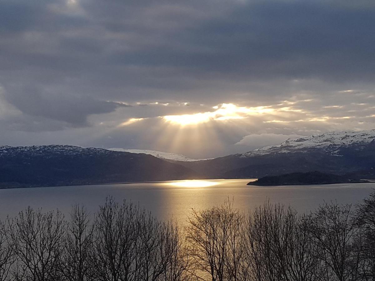 Treehut, Nature, Birds, Silence And Fjord Samlanes Exterior photo