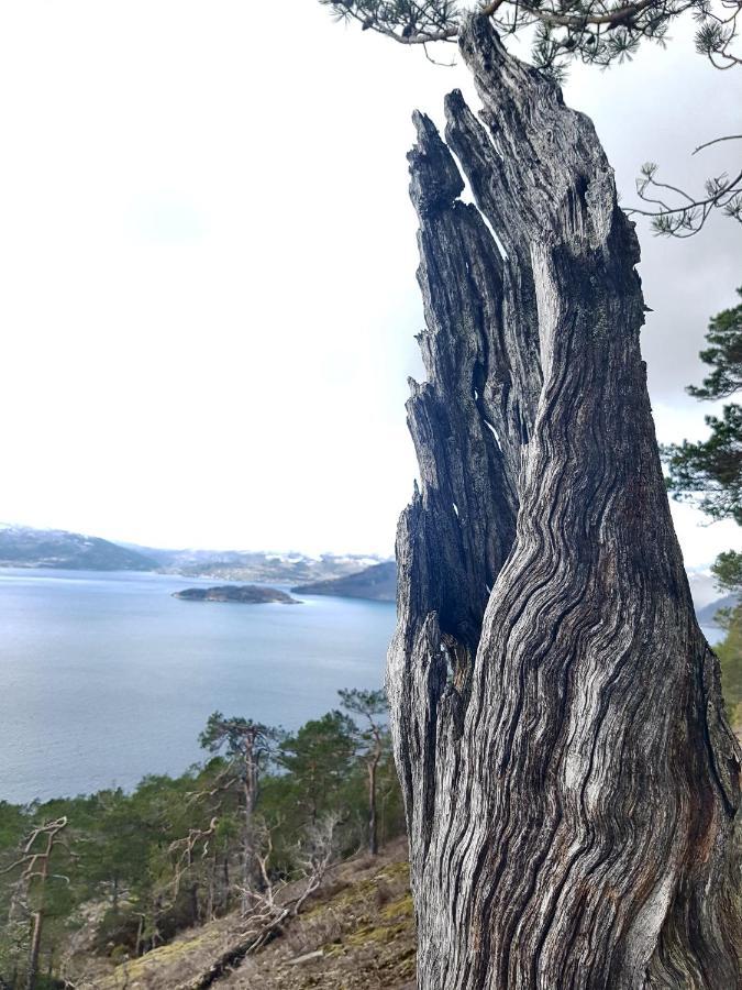 Treehut, Nature, Birds, Silence And Fjord Samlanes Exterior photo