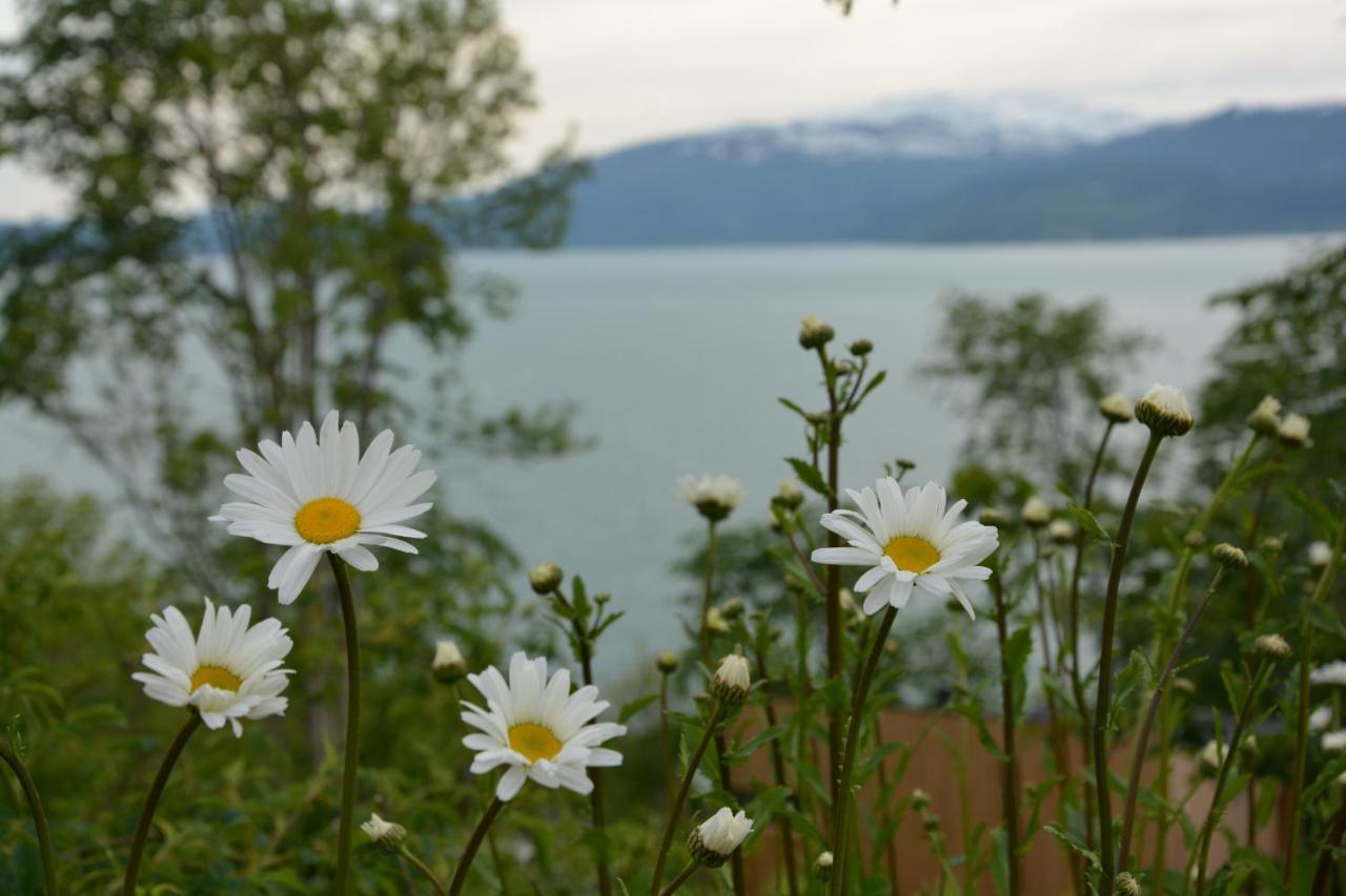 Treehut, Nature, Birds, Silence And Fjord Samlanes Exterior photo