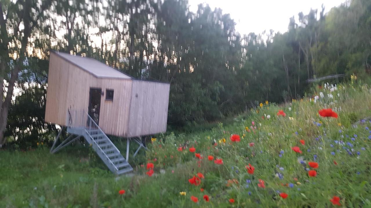 Treehut, Nature, Birds, Silence And Fjord Samlanes Exterior photo