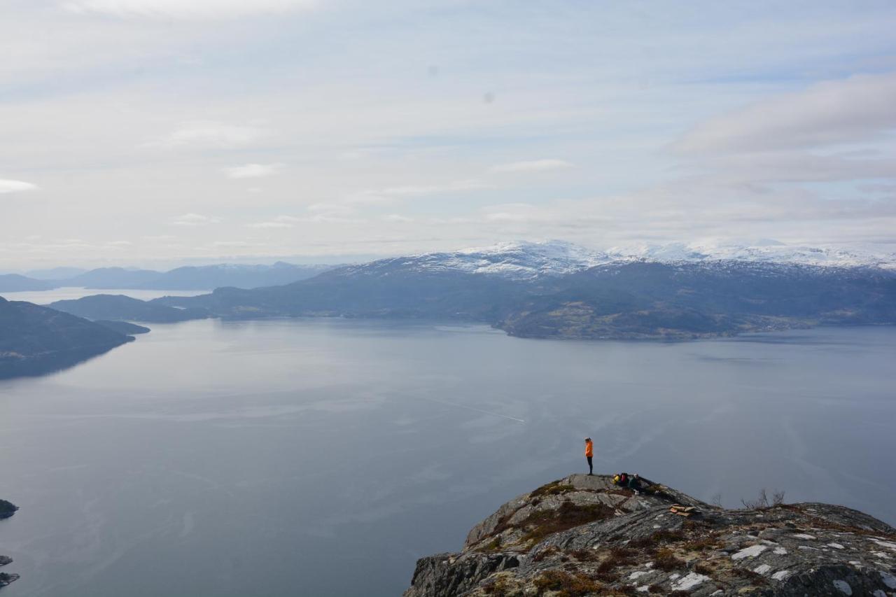Treehut, Nature, Birds, Silence And Fjord Samlanes Exterior photo