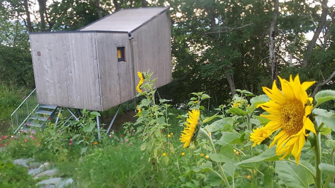 Treehut, Nature, Birds, Silence And Fjord Samlanes Exterior photo